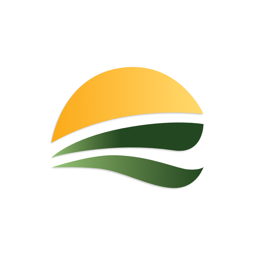 PalmAir logo icon